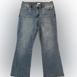 Camila Coelho Blue Denim Repreve Jeans Size 8